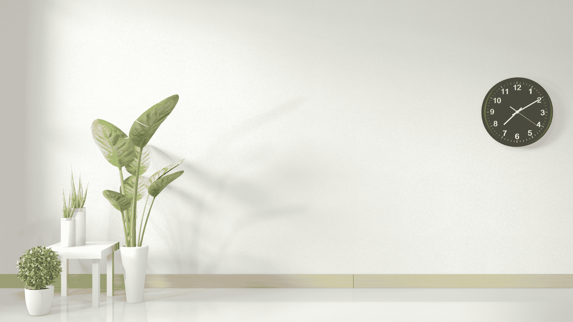 Meet some of our Tribe temps