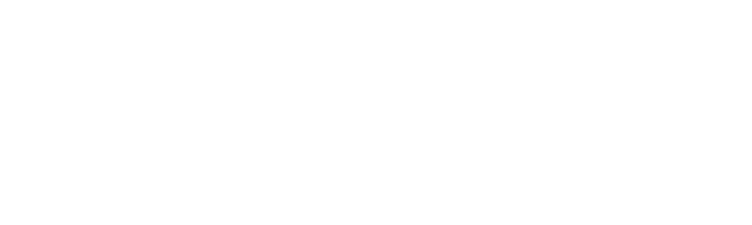 Netball New Zealand logo