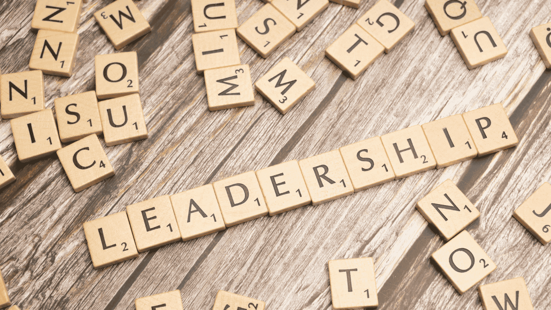 Tribe Executive - Finding the right fit for the board