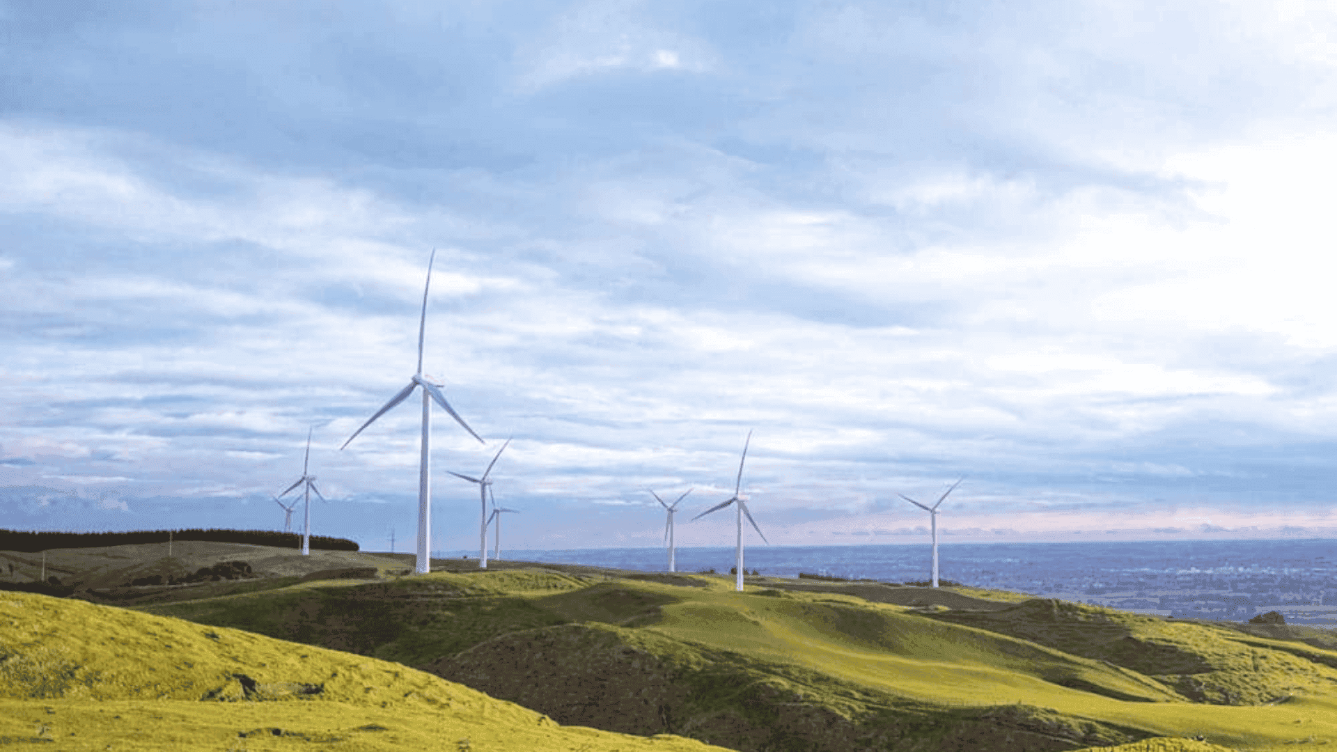 Mercury NZ Limited appoints new Director