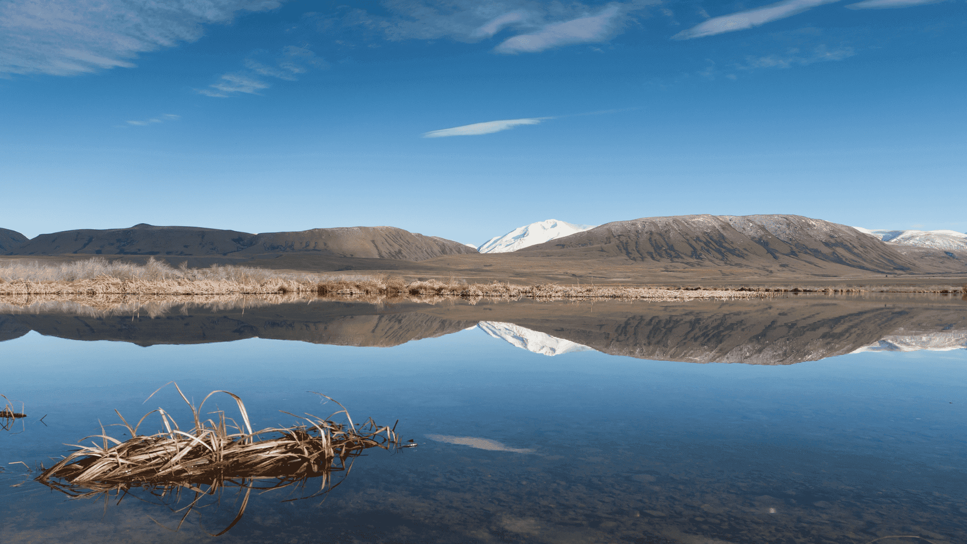 Our why - Kōrero with Russell Spratt, Te Kaitūhura Tau Mai